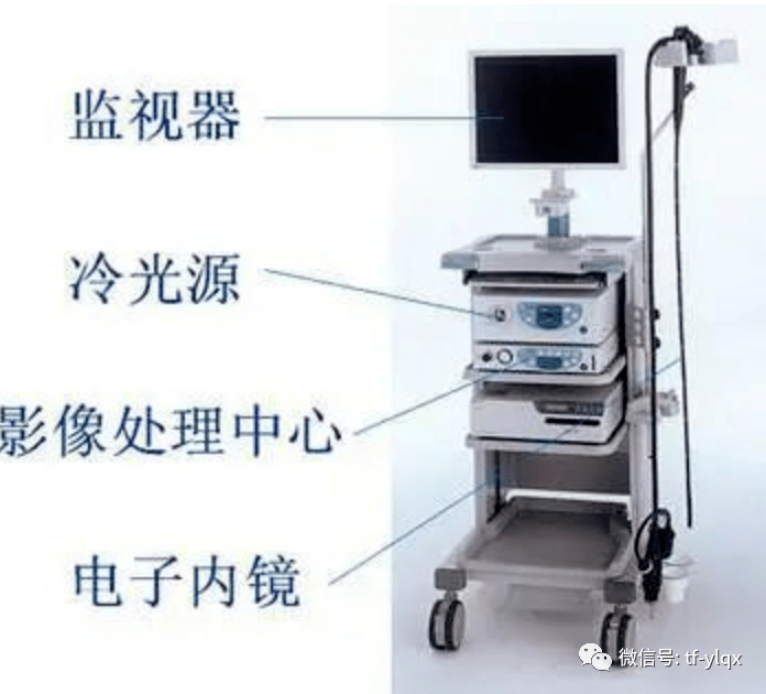 西安交通大學(xué)第二附屬醫(yī)院消化內(nèi)鏡、介入耗材供應(yīng)商遴選項目