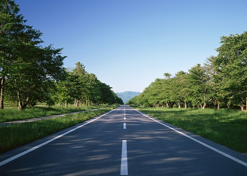 西咸新區(qū)空港新城景平大街(萬聯(lián)大道-廣德路）以及北杜大街（安德路-廣德路）結(jié)算審核工程