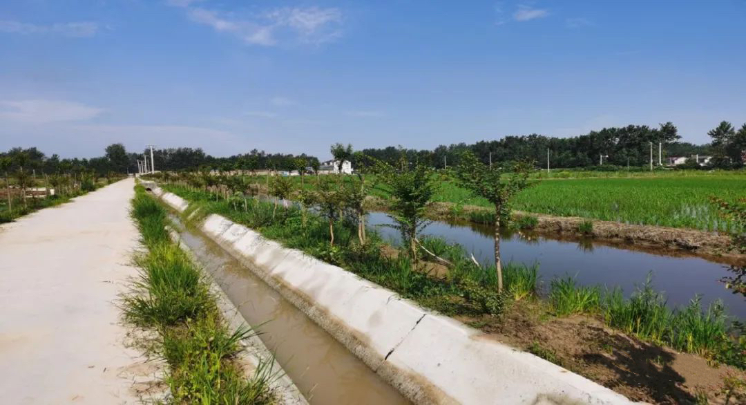 扶風(fēng)縣2020年高標準基本農(nóng)田建設(shè)項目（一標段）建設(shè)項目監(jiān)理